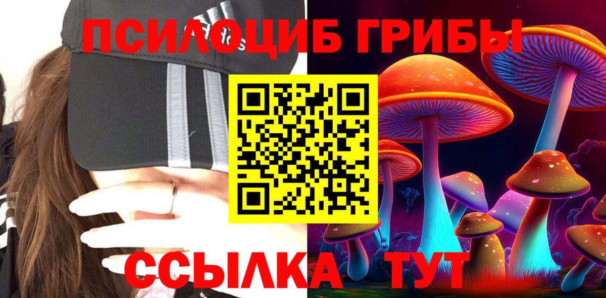 Галлюциногенные грибы Cubensis Коломна