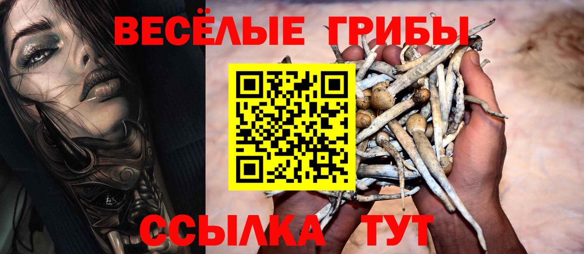 Псилоцибиновые грибы Cubensis  Вход с VPN  цена   Галлюциногенные грибы Psilocybine cubensis  Коломна 